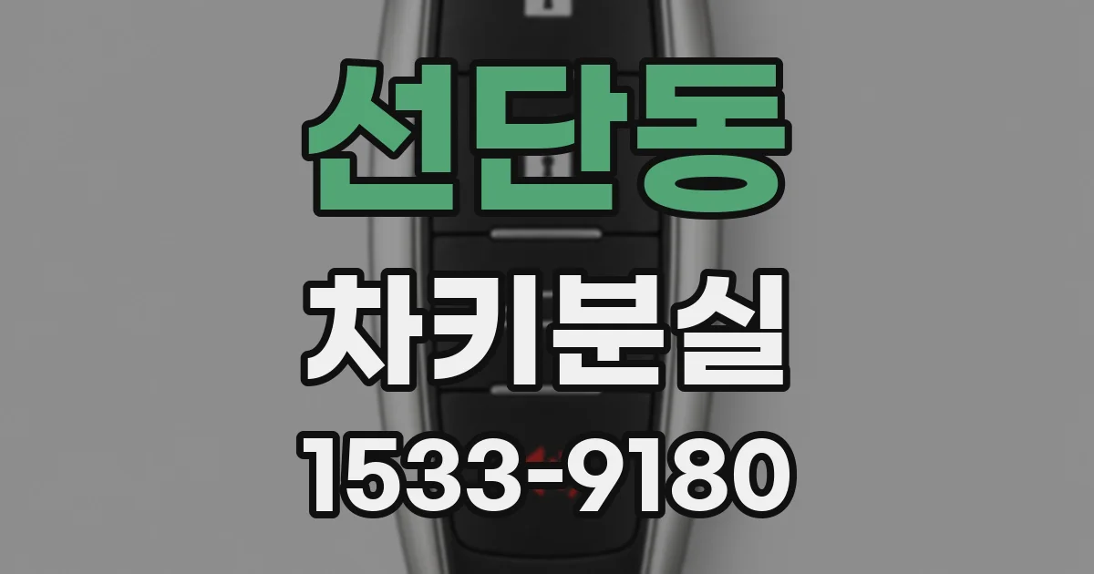 선단동 차키분실