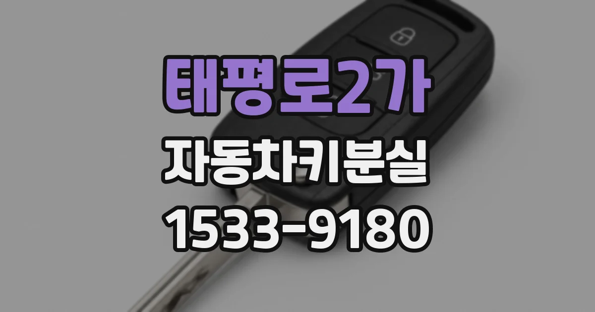 태평로2가 자동차키분실