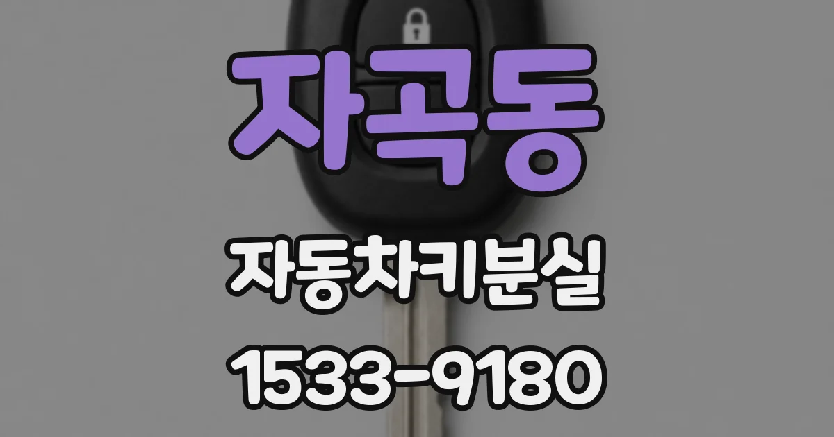 자곡동 자동차키분실