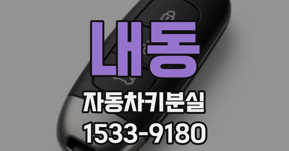 내동 자동차키분실