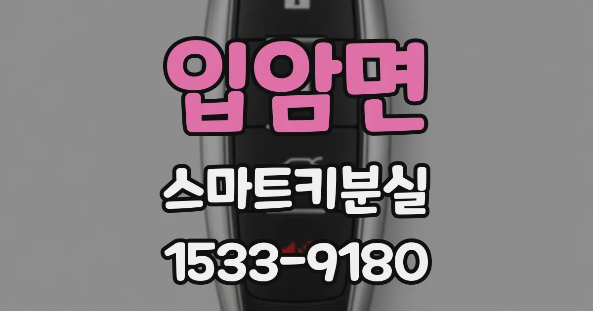 입암면 스마트키분실