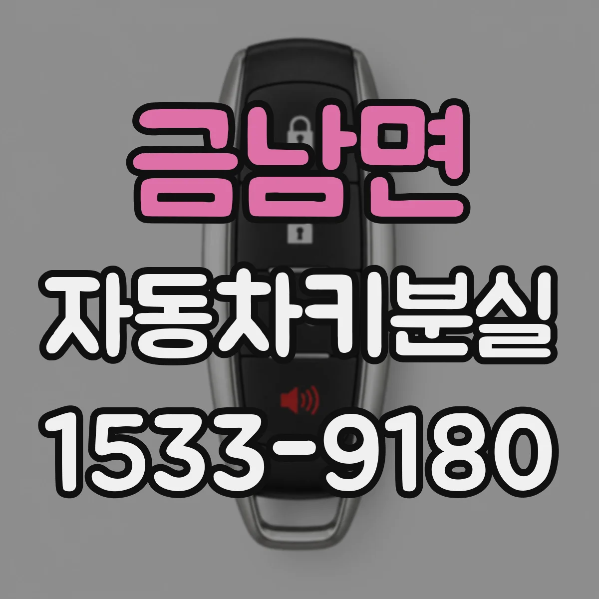 금남면 자동차키분실
