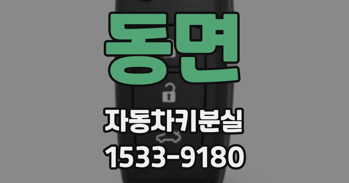 동면 자동차키분실