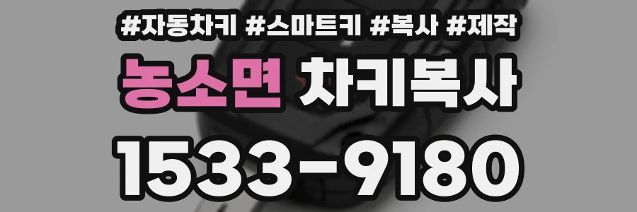 농소면 차키복사