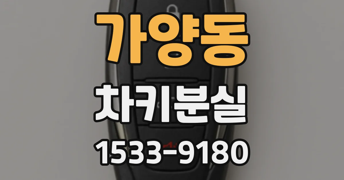 가양동 차키분실