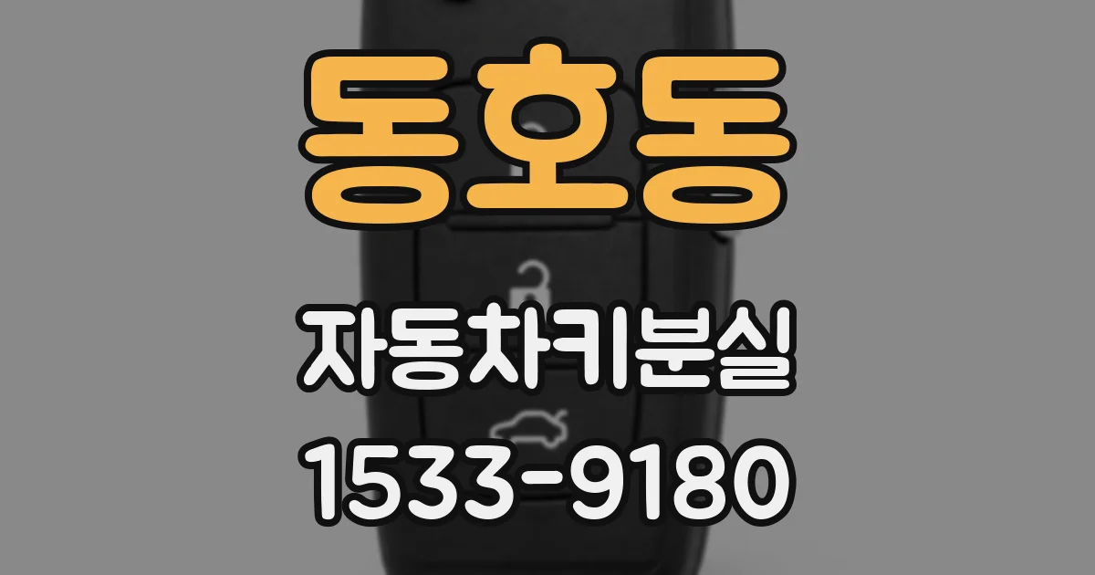 동호동 자동차키분실