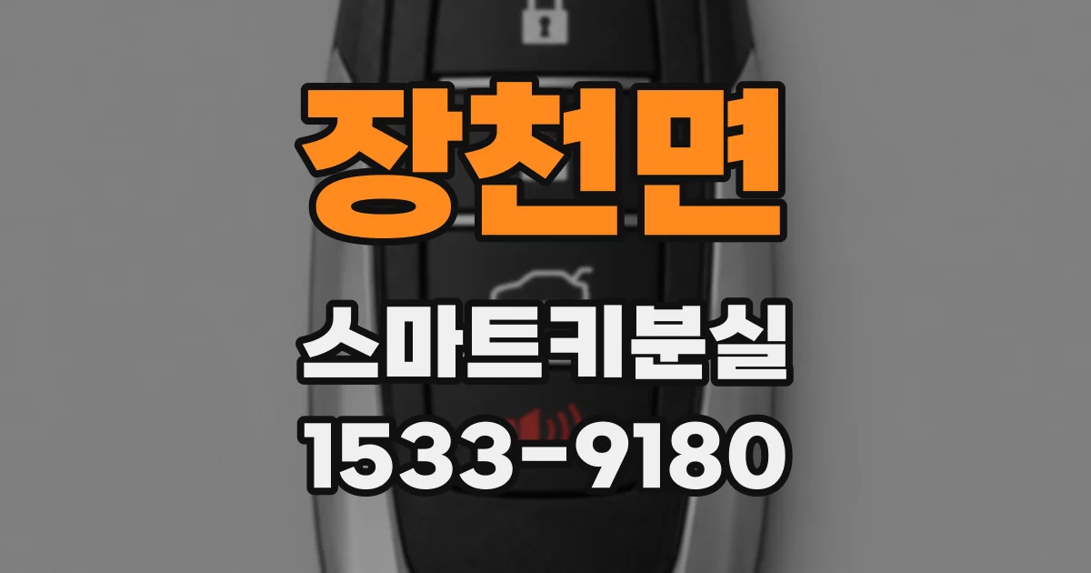 장천면 스마트키분실