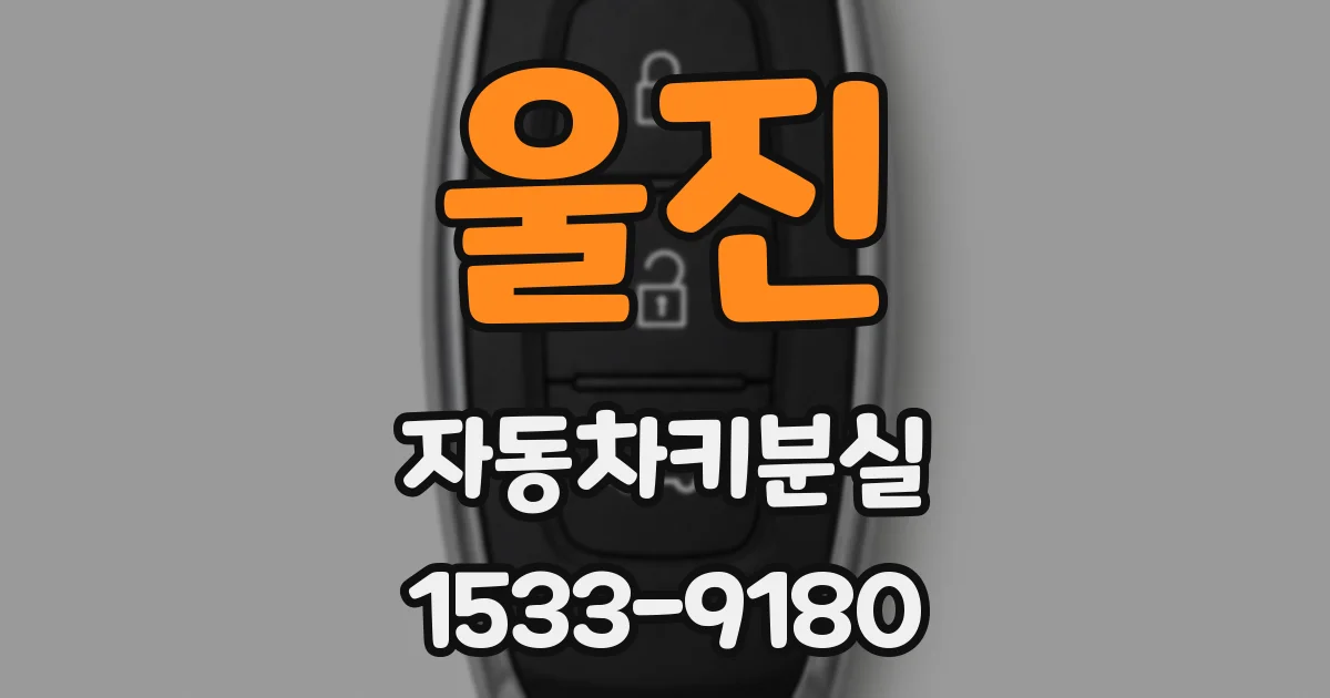 울진 자동차키분실
