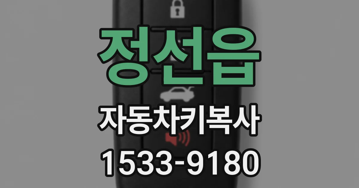 정선읍 자동차키복사