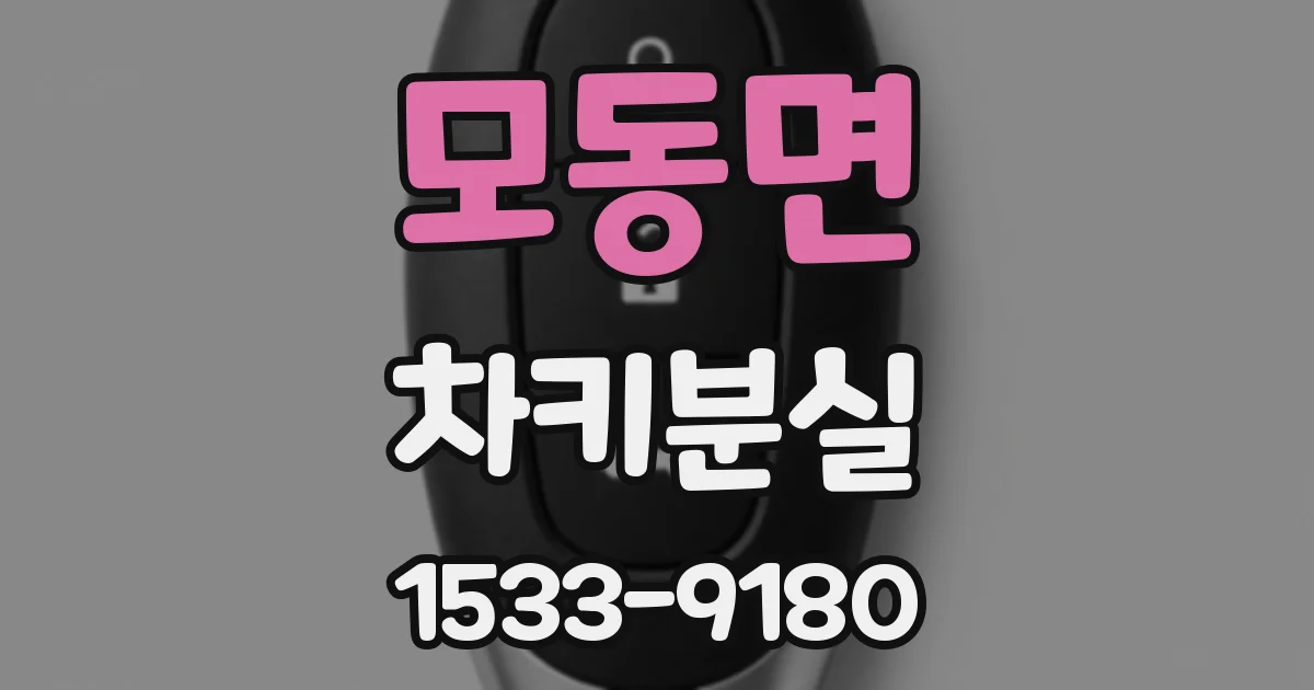모동면 차키분실