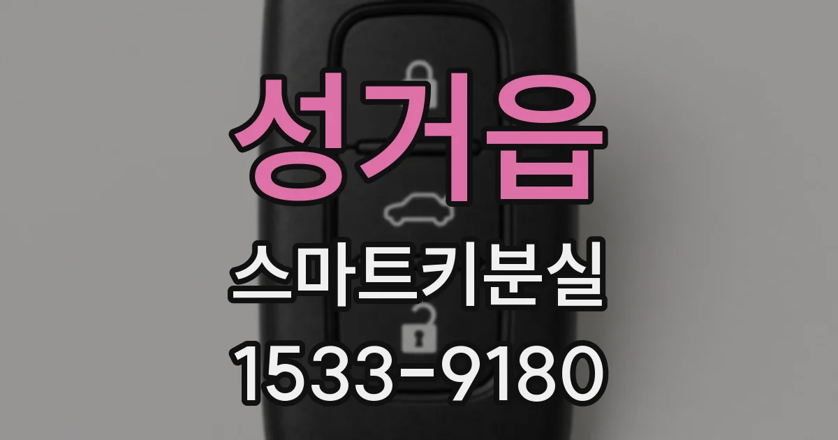 성거읍 스마트키분실