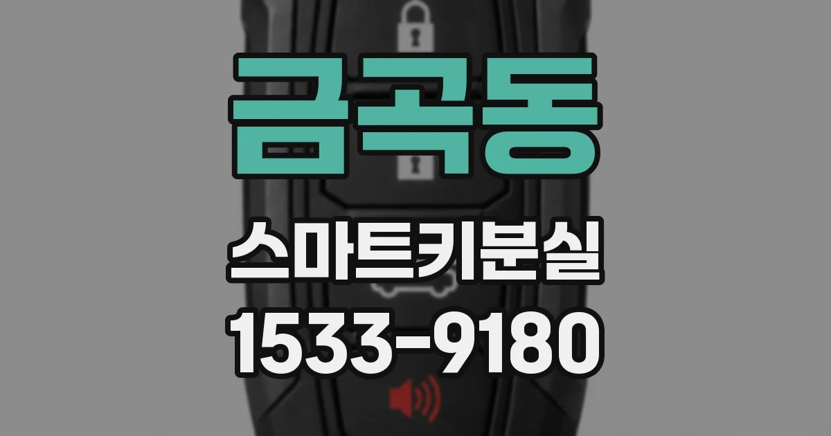 금곡동 스마트키분실