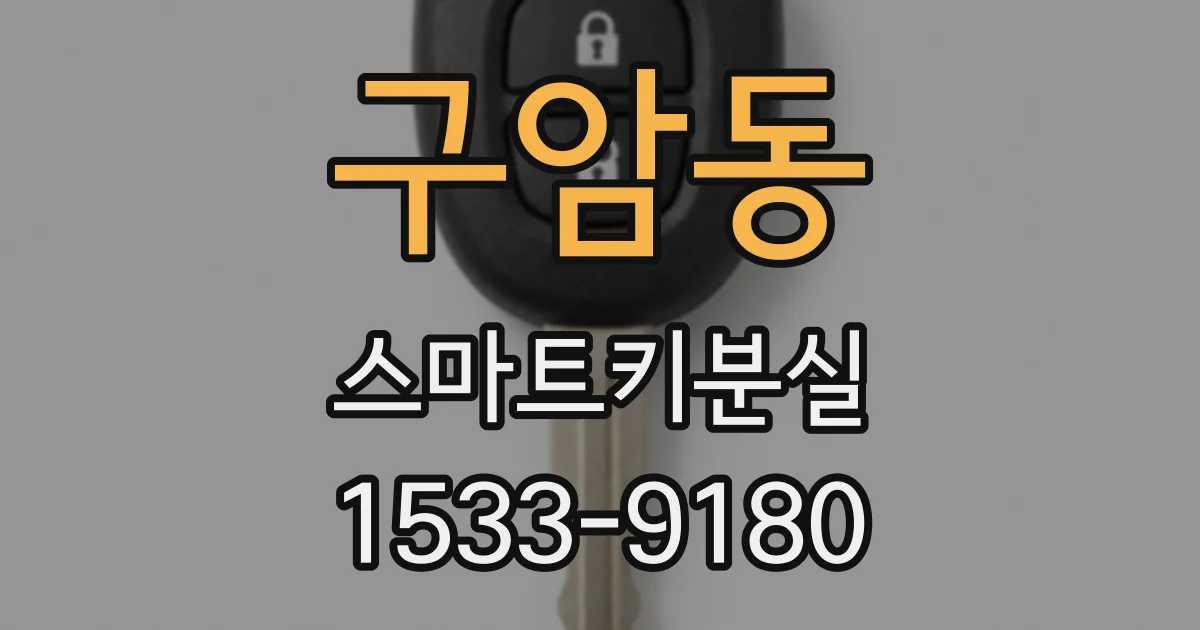 구암동 스마트키분실