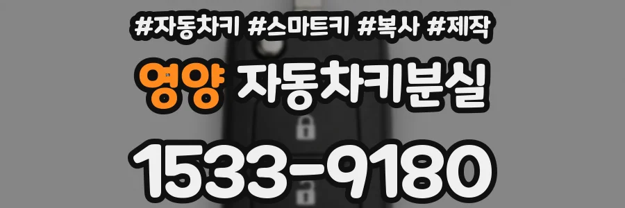 영양 자동차키분실
