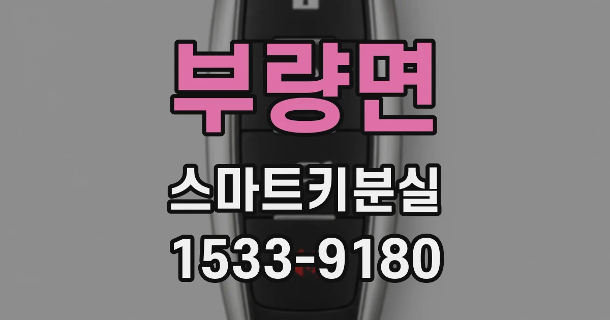 부량면 스마트키분실