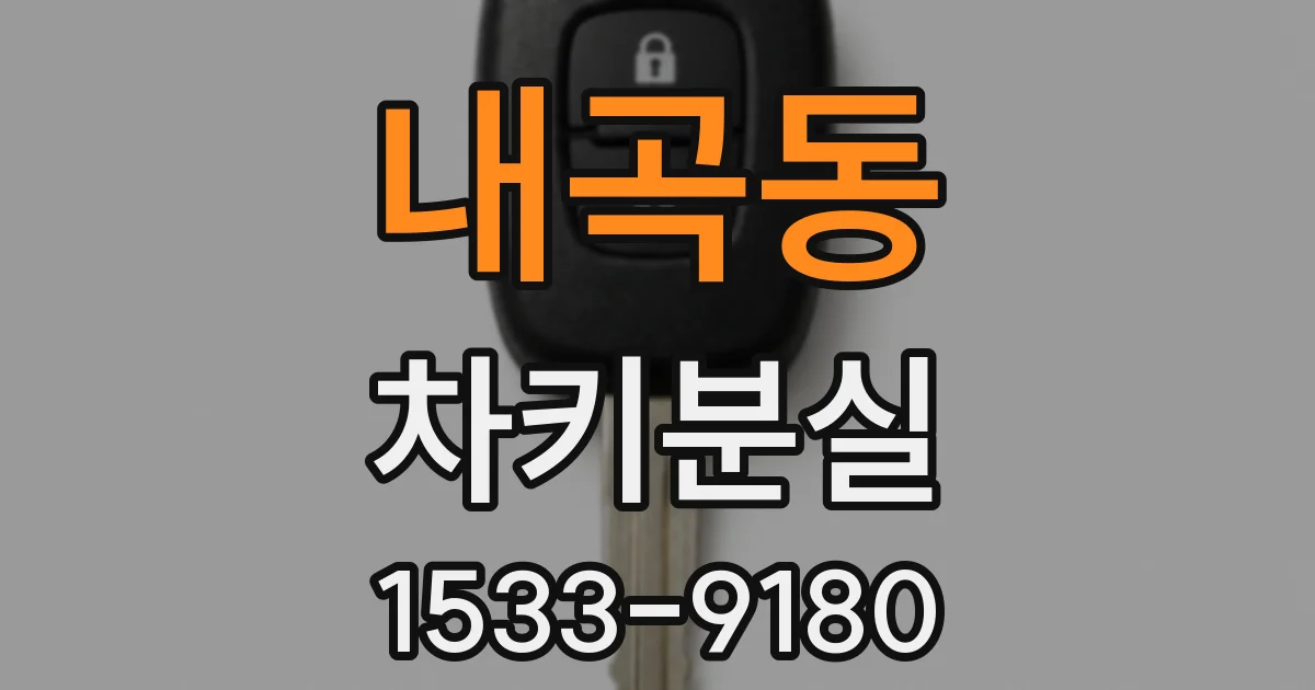 내곡동 차키분실