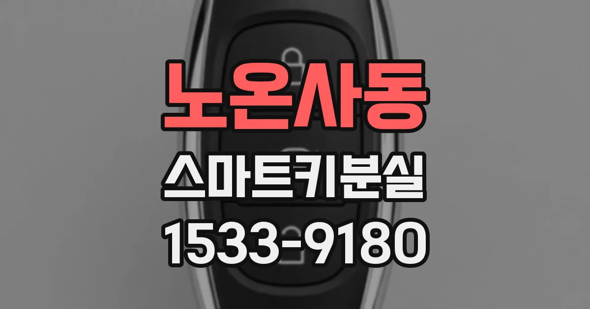 노온사동 스마트키분실