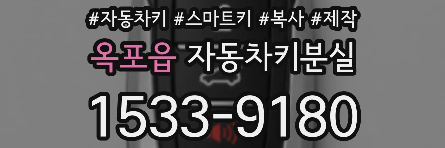 옥포읍 자동차키분실