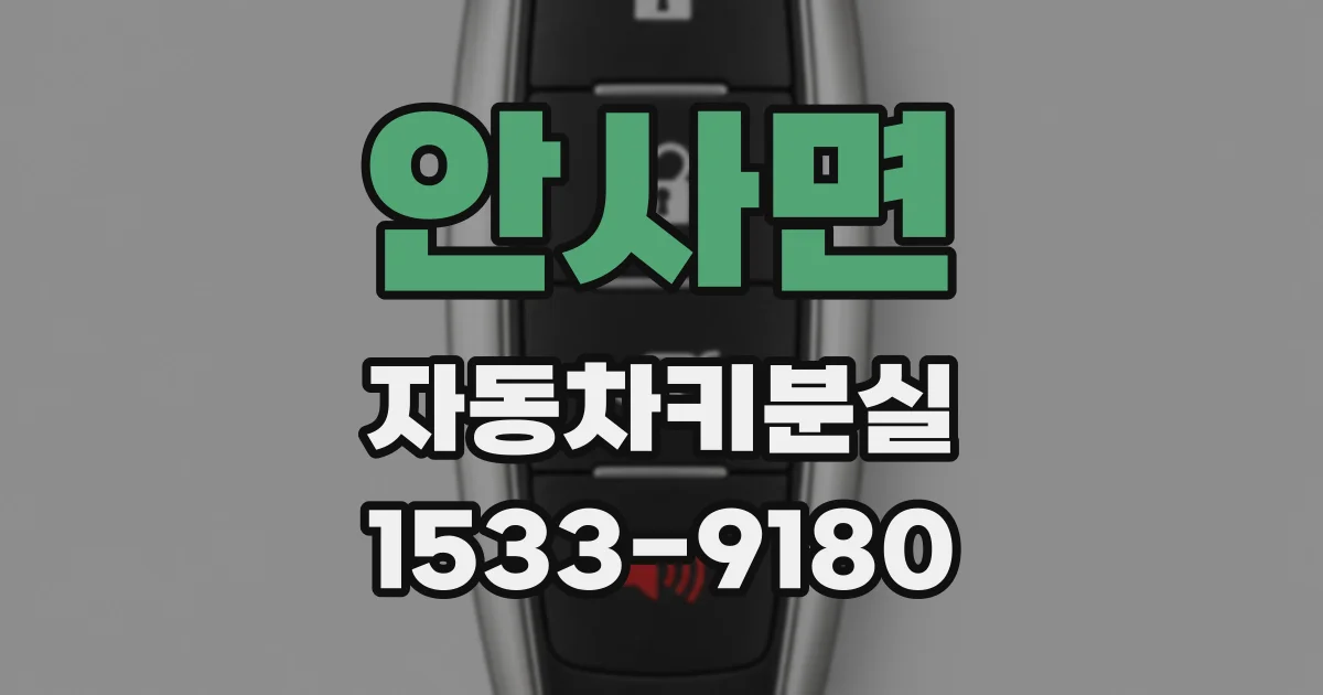 안사면 자동차키분실