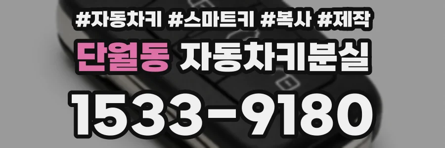 단월동 자동차키분실