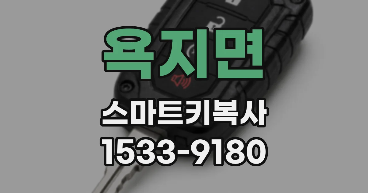 욕지면 스마트키복사