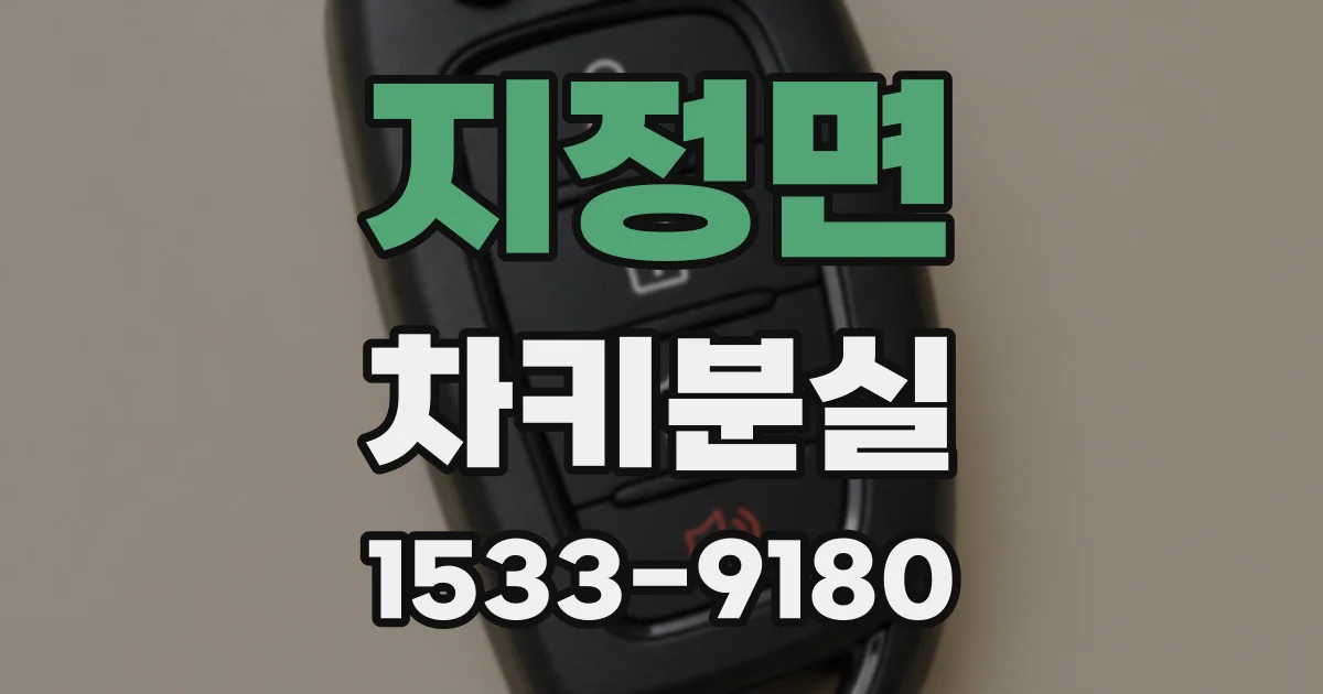 지정면 차키분실
