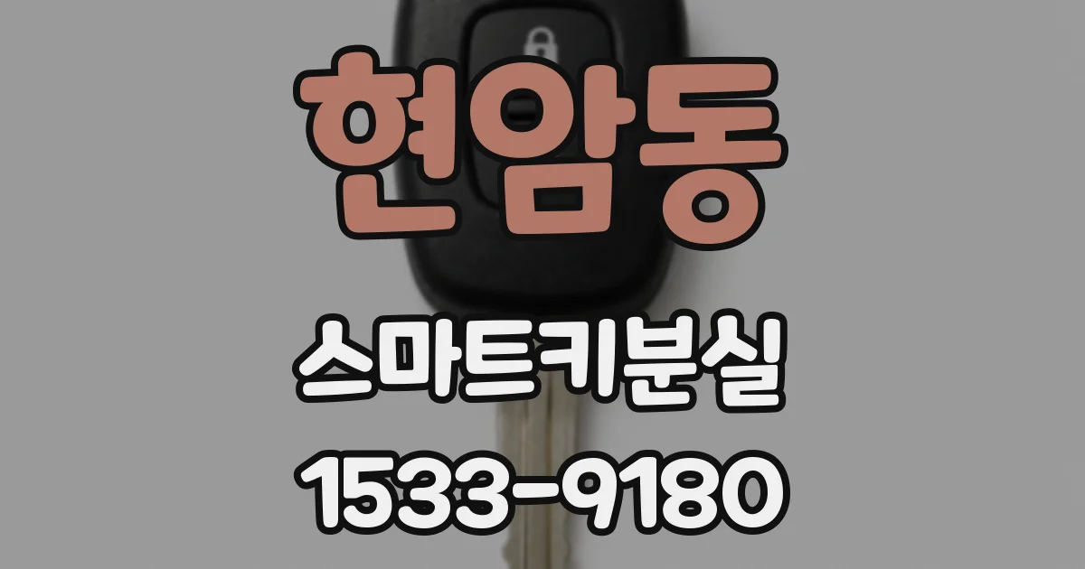 현암동 스마트키분실