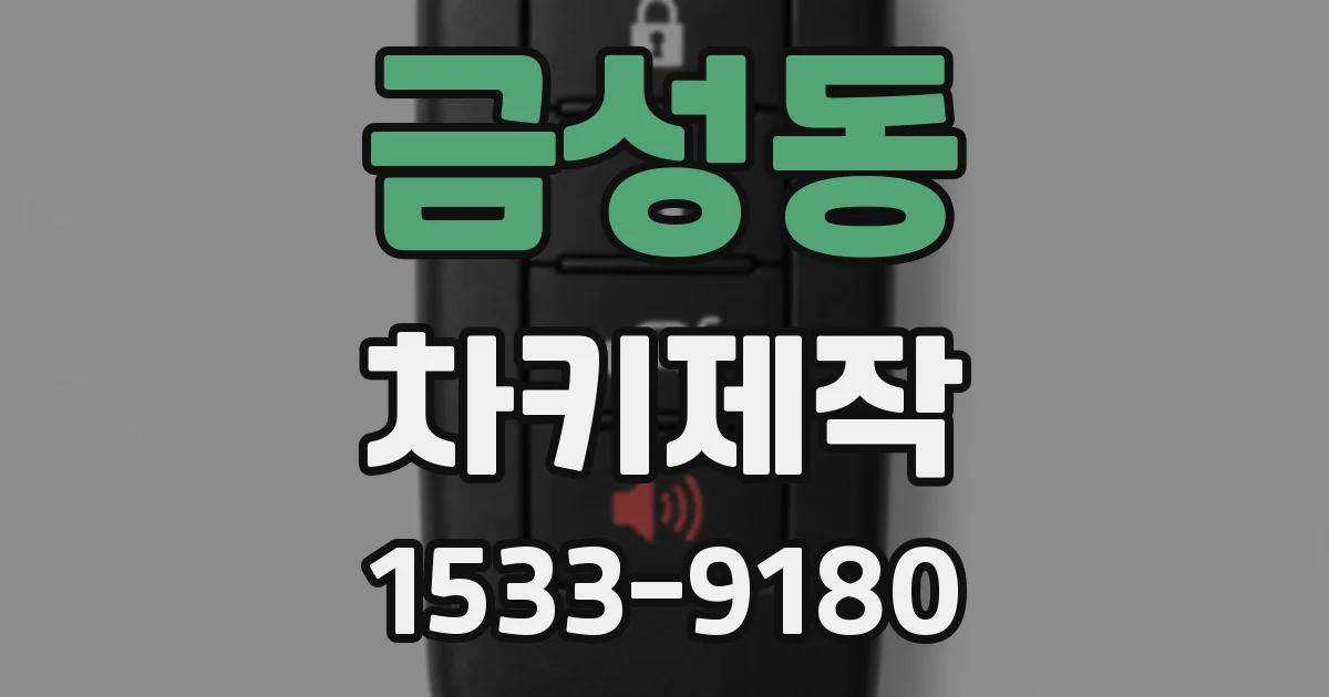 금성동 차키제작