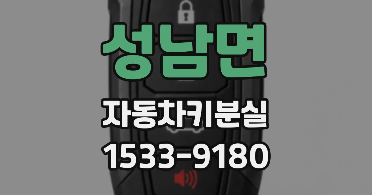 성남면 자동차키분실