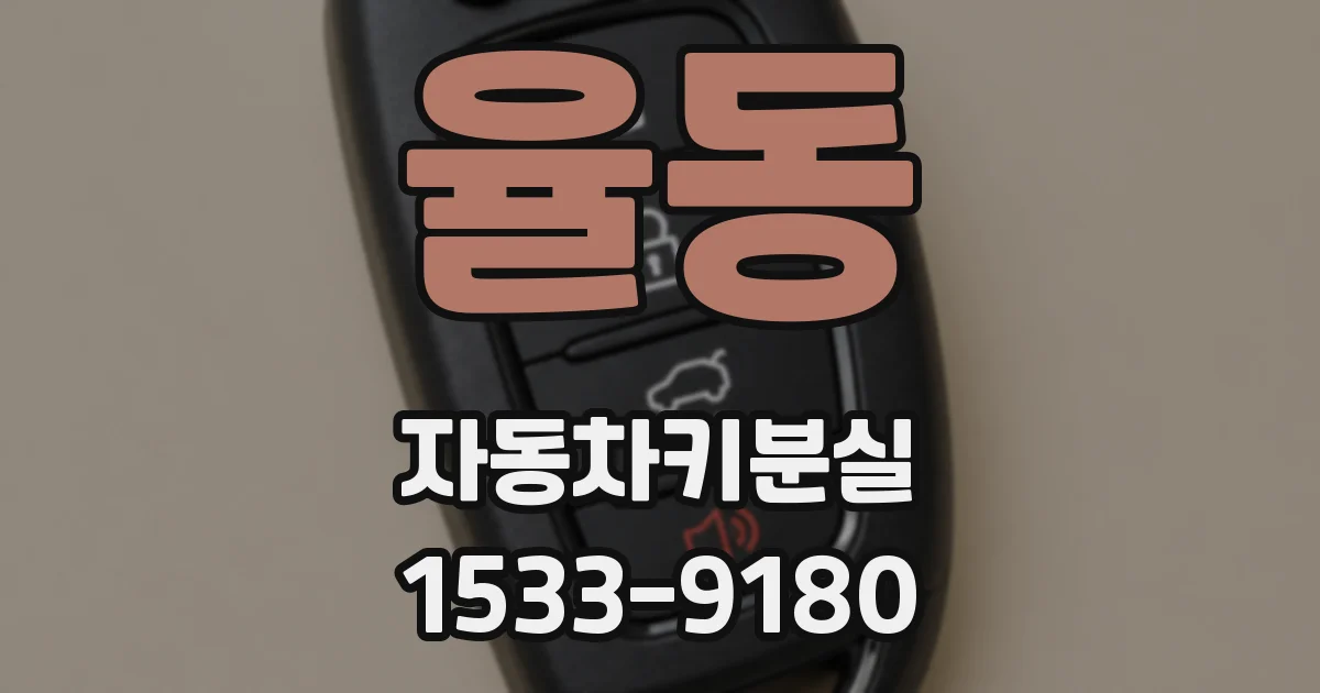 율동 자동차키분실