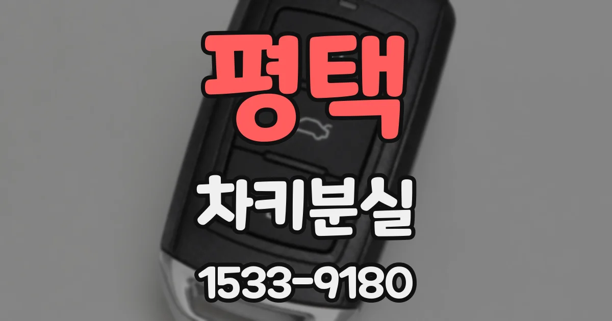평택 차키분실