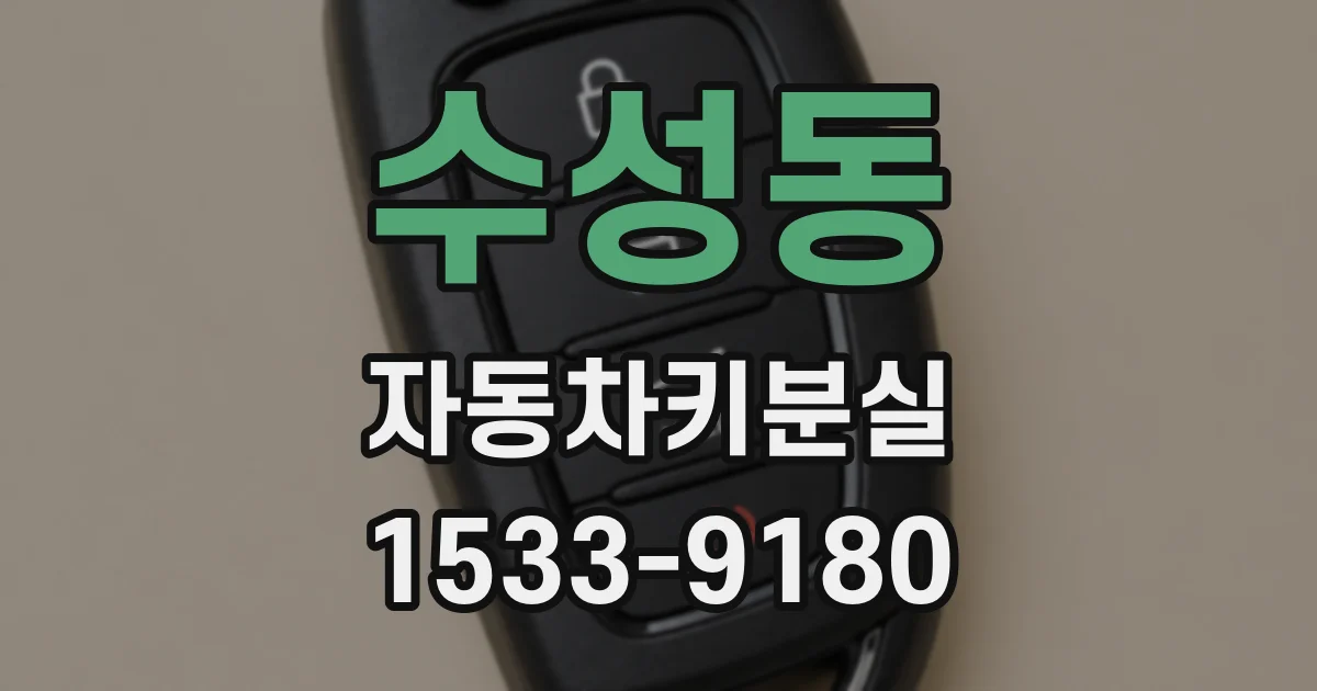 수성동 자동차키분실