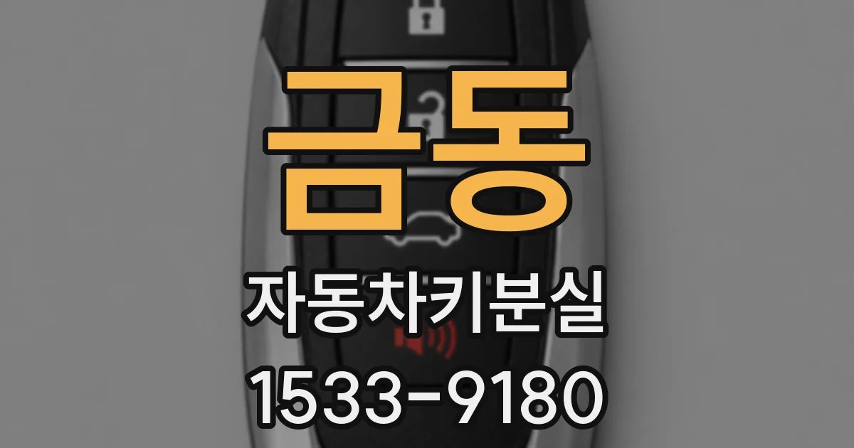 금동 자동차키분실