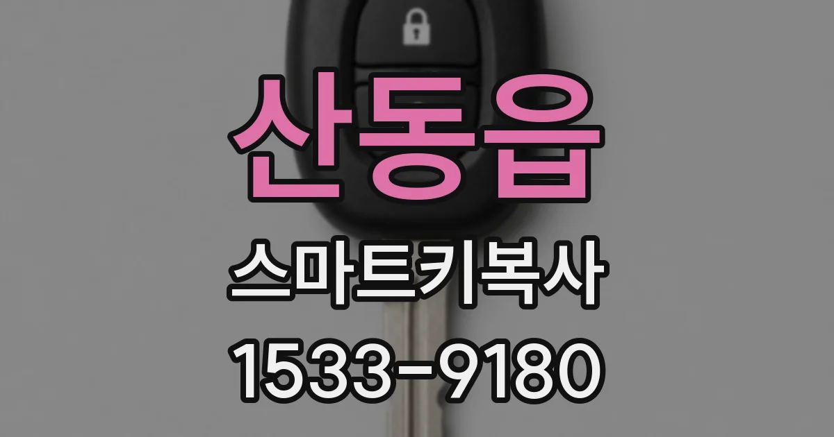 산동읍 스마트키복사
