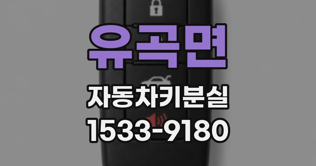 유곡면 자동차키분실