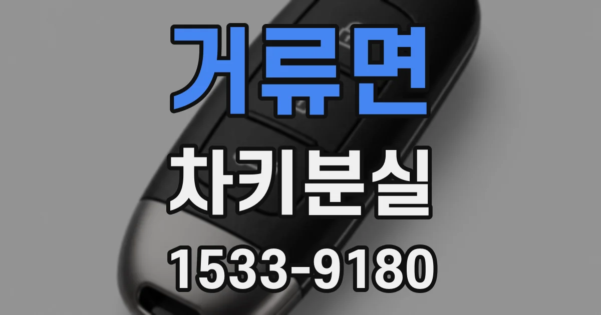 거류면 차키분실