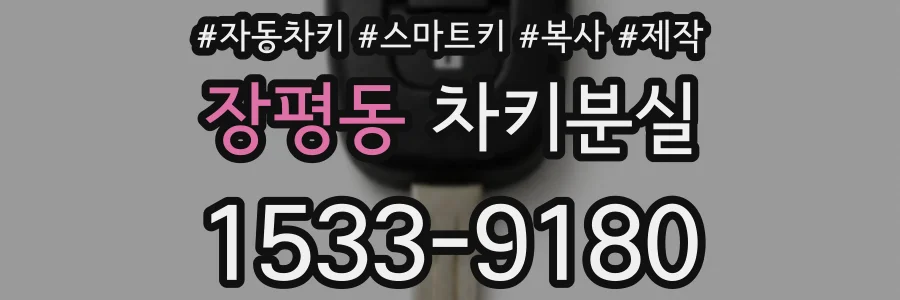 장평동 차키분실