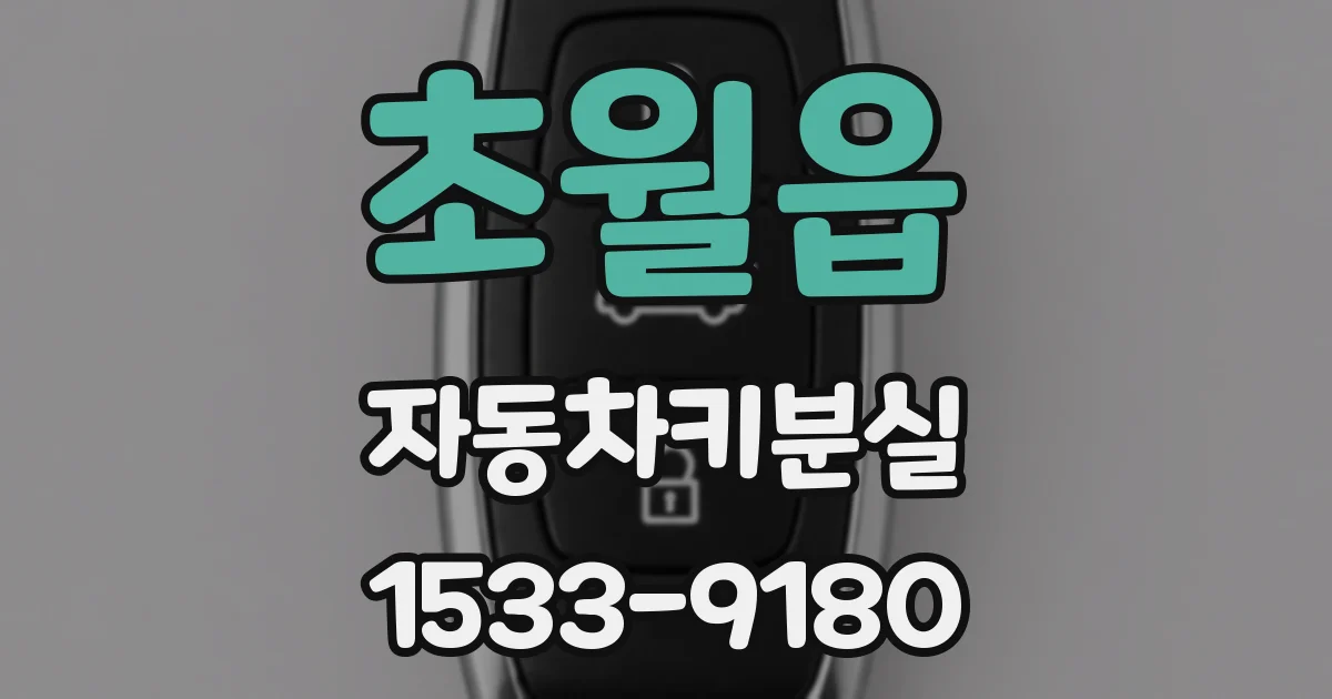 초월읍 자동차키분실