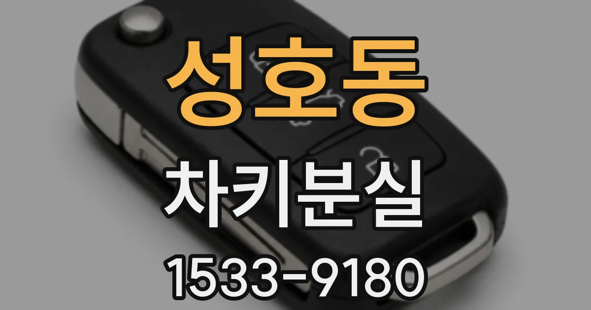 성호동 차키분실