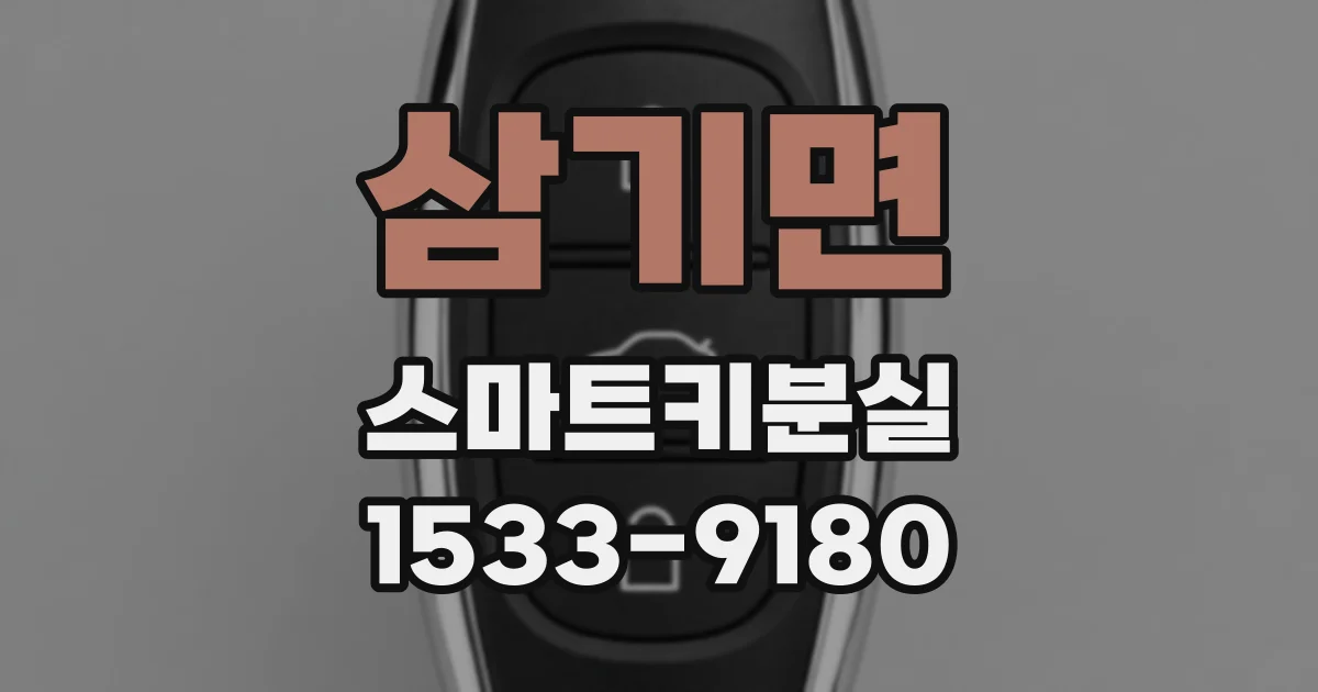 삼기면 스마트키분실