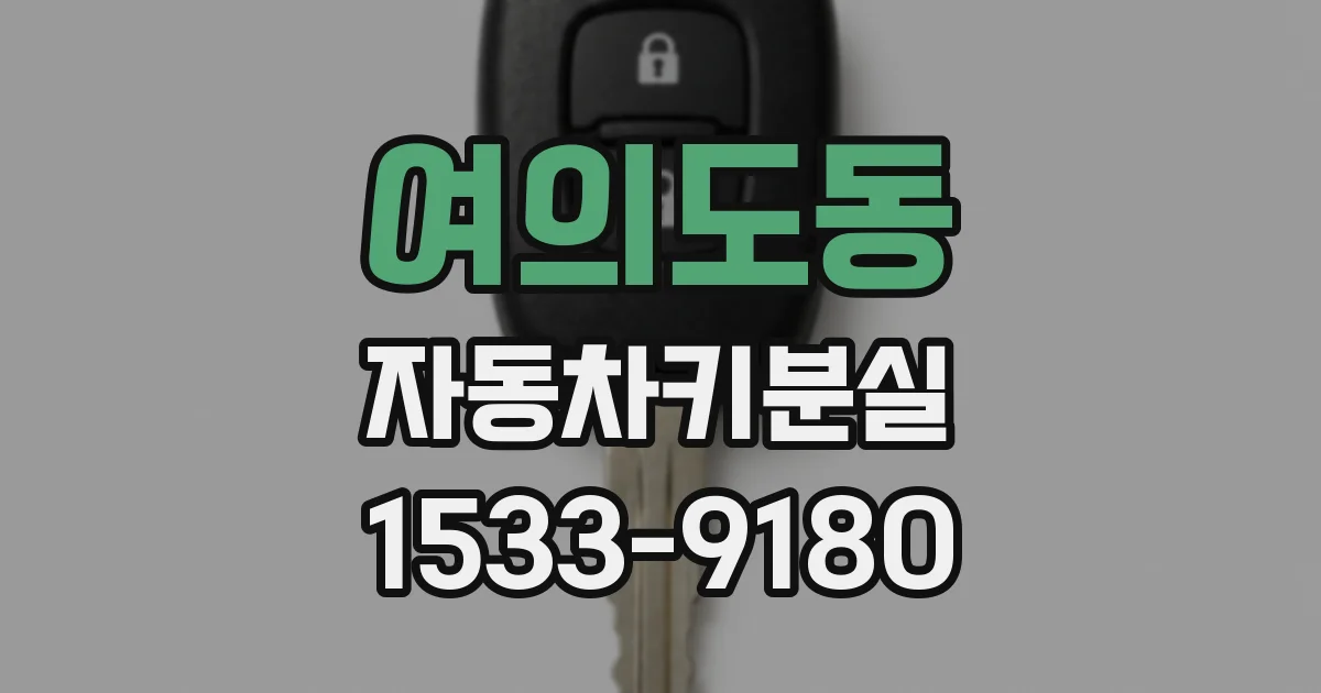 여의도동 자동차키분실