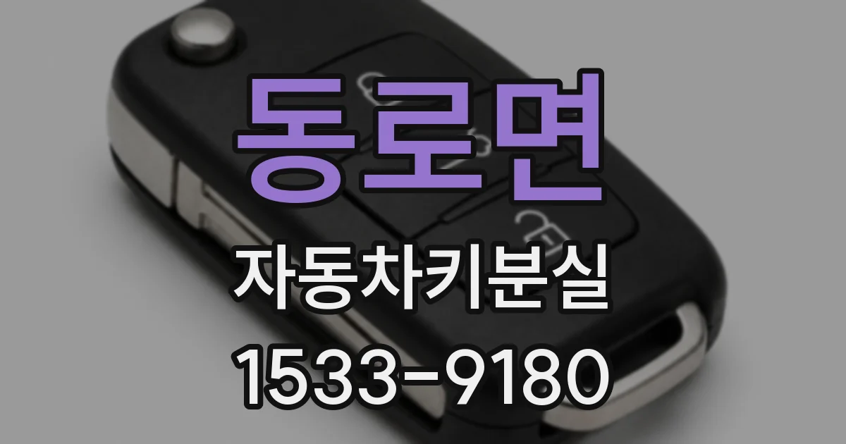 동로면 자동차키분실