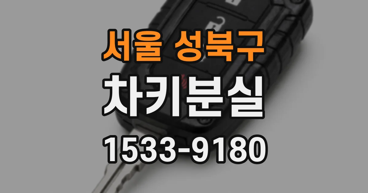 서울 성북구 차키분실