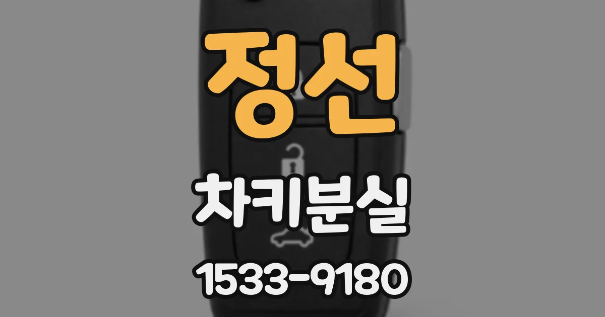 정선 차키분실