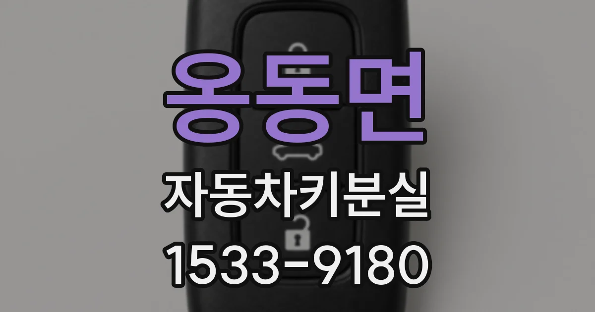 옹동면 자동차키분실
