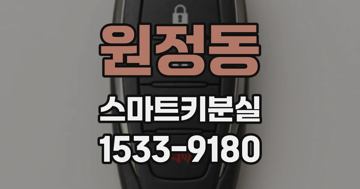 원정동 스마트키분실