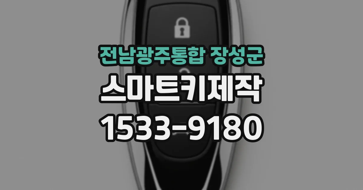 전남광주통합 장성군 스마트키제작