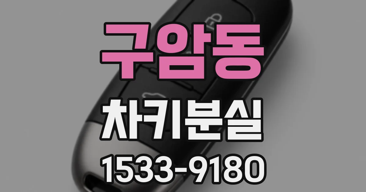 구암동 차키분실