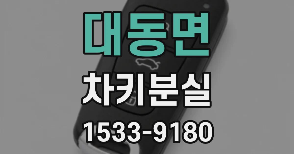 대동면 차키분실