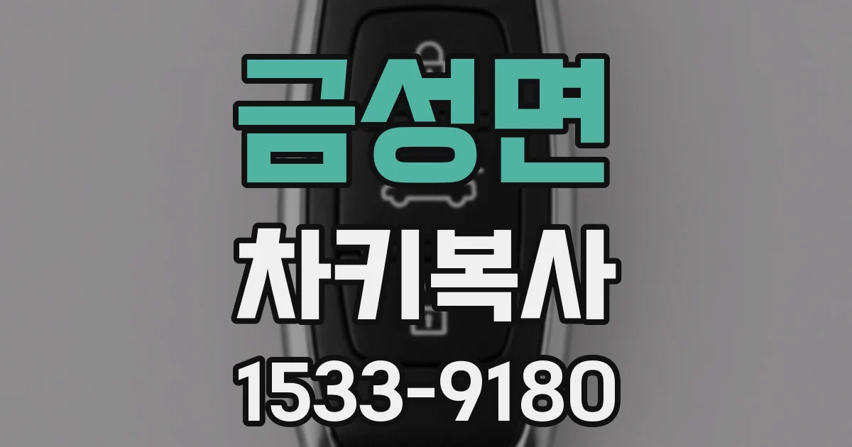 금성면 차키복사